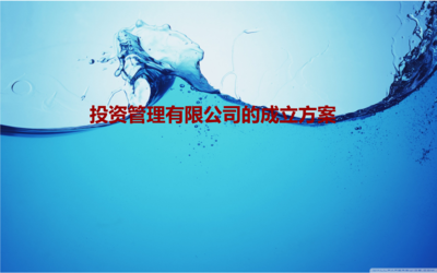 投资管理的成立方案.ppt